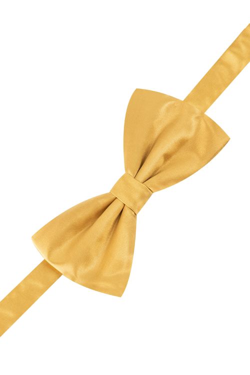 Moño Roberts Dorado