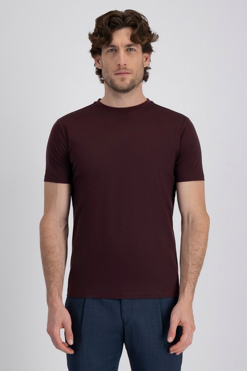 Playera Mercerized Cotton Contemporary Fit